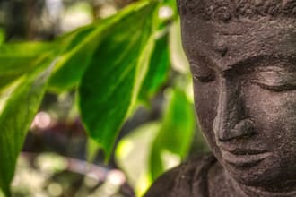 help you reattune yourself and calibrate your emotions through body communection
