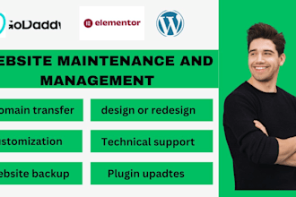 provide maintenance and website support website help manager customize website