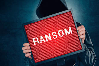 website against ddos and common web attacks, patch vulnerabilities