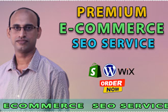 do expert ecommerce SEO service for any cms