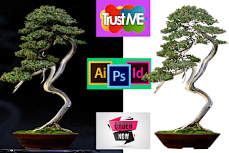 background remove,cut out,change,transparent, object remove