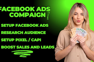 setup and manage facebook ads campaign for leads and sales