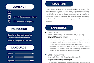 create the perfect resume and linkedin bio for you