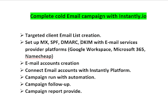 do complete cold email campaign for your business with instantly