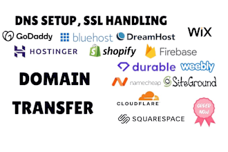 domain transfer, dns, SSL, website migration, zoho and office 365 setup
