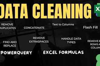 clean, organize, and format data using power query