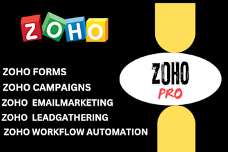 do zoho CRM setup , customization, automation and integration