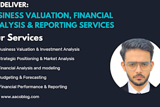 perform financial modeling, valuation and business analysis