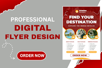 create professional digital business flyer pamphlet brochure design