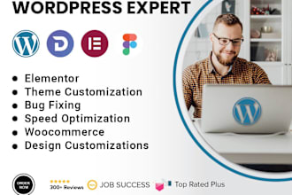 fix wordpress elementor website, issues errors bugs divi website expert help