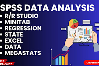 do statistical data analysis with spss, r, or excel