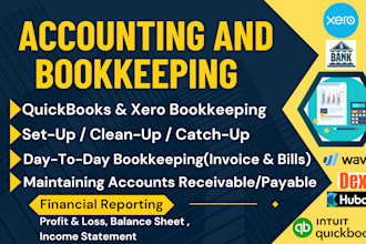 do clean up, catch up, bookkeeping and accounting service in quickbooks and xero