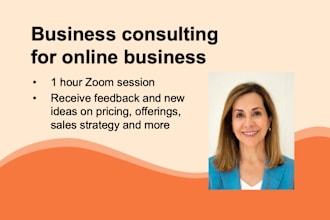provide business consulting for online businesses