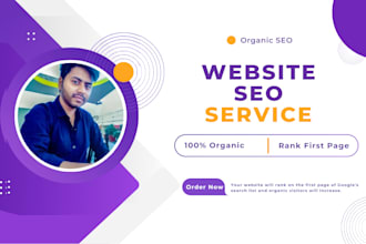 provide professional website on page SEO optimization services