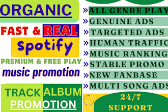 promote your music on spotify and google ads