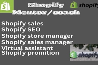 be your successful ecommerce shopify sales mentor, dropshipping consultant