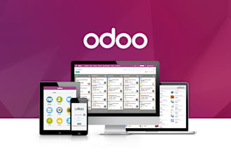 do software developer odoo customization saas app ecommerce enterprise website