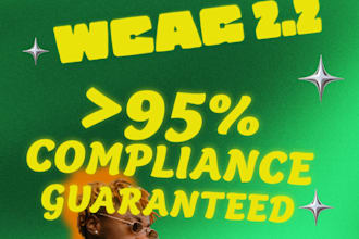 do wcag level aa audit and compliance for web application