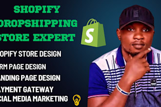 build profitable shopify dropshipping store and website