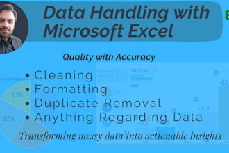 do excel data formatting and cleaning task