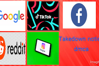 send dmca takedown notice to remove tiktok,reddit,ig,fb,google,ebay under dmca