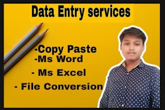 do data entry, copy paste, web research , file conversion