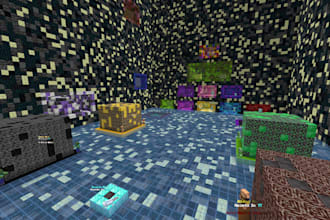 make a professional minecraft server for you