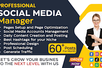 social media marketing manager,instagram,facebook, linkedin marketing