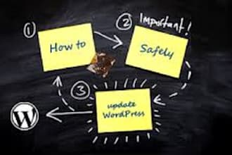update wordpress, themes and plugins