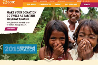 design nonprofit website, charity website, ngo website, 501c3 donation website