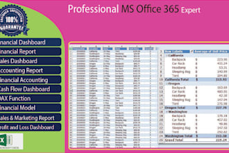 do your excel spreadsheet , advance pivot table projects, formula and function