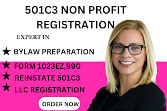 file your 501c3 paperwork, non profit registration, form 1023 ez and full, bylaw