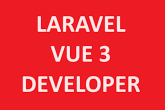 provide laravel vue js development
