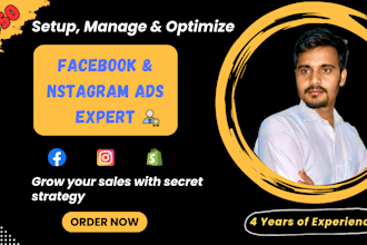 manage your facebook meta ads and instagram ads campaigns