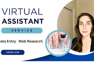 be your shopify virtual assistant or data entry, web research and copy paste