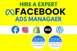 run facebook meta ads campaign in 1 day urgent projects