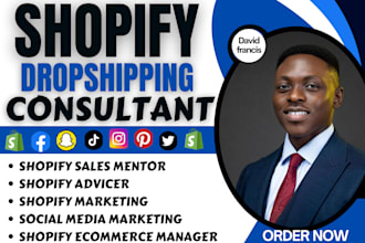 be shopify dropshipping mentor shopify tiktok shop ads shopify sales marketing