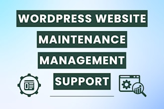 provide maintenance and manage your wordpress website maintenance