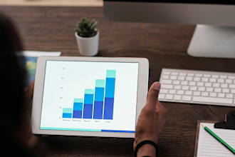 data visualizations, pivot tables, advanced excel