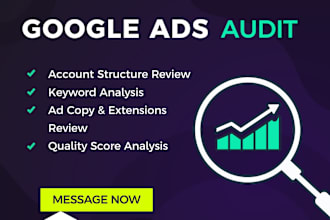 provide professional google ads audit with insights