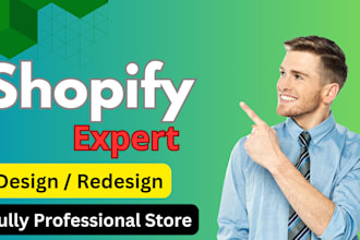 set up shopify web store