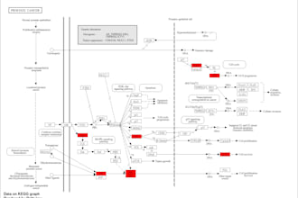 do bioinformatics analysis, visualizations and interpretations