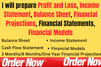 prepare a financial statement profit and loss balance sheet and income statement