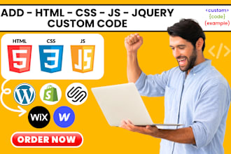 add custom HTML, CSS and js code to wordpress, shopify, squarespace, wix website