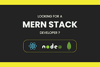 expert mern stack developer for your website