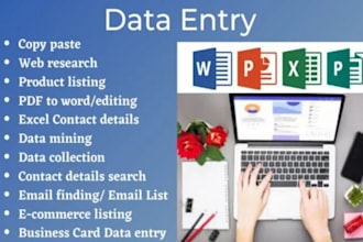 be you excel guru with excel data entry