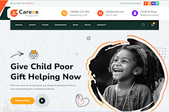 design a nonprofit website, ngo charity website, 501c3 website, donation website