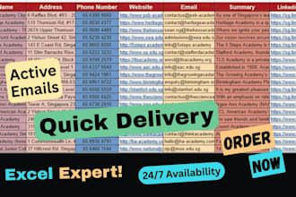 do find email address, excel data entry and google map scraping for you
