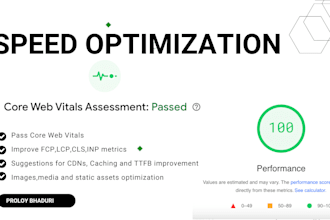 do speed optimization and pass core web vitals for wordpress