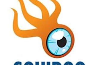write and publish the BEST Quality Squidoo Lens with Unique Content and 2 backlinks to your site